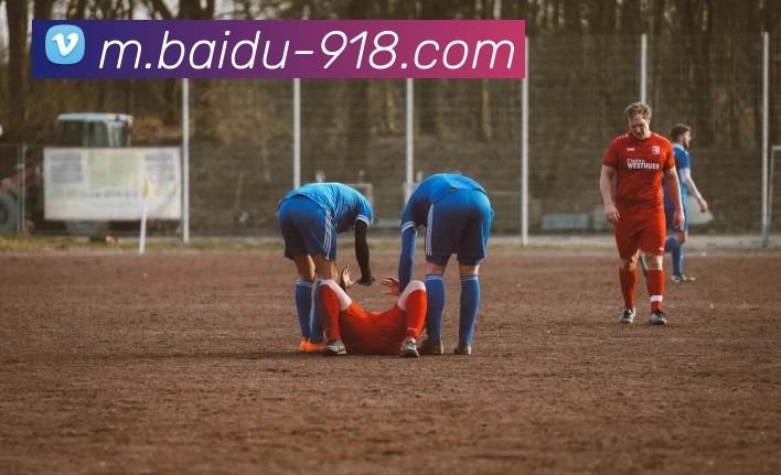 博天堂服务体系